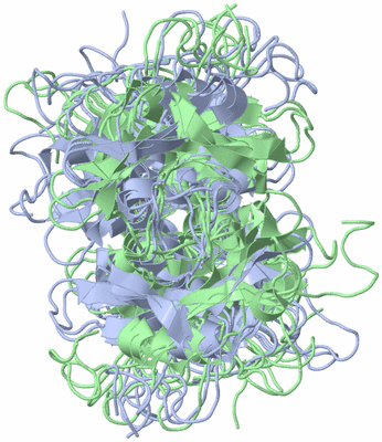 Image NMR Structure - all models