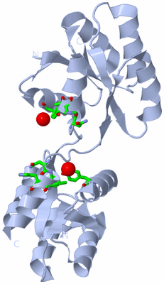 Image Biol. Unit 1 - sites