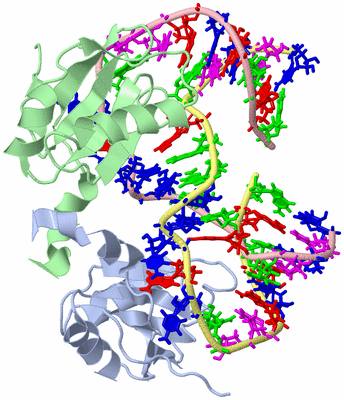 Image NMR Structure - model 1