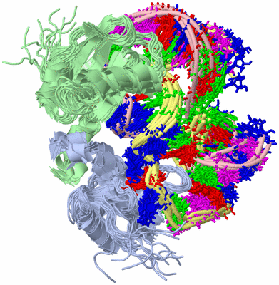 Image NMR Structure - all models