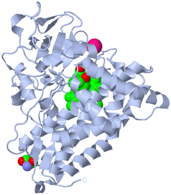 Image Biological Unit 1