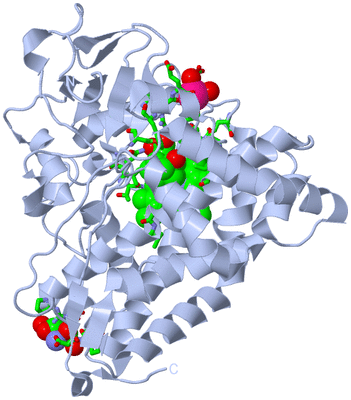 Image Biol. Unit 1 - sites