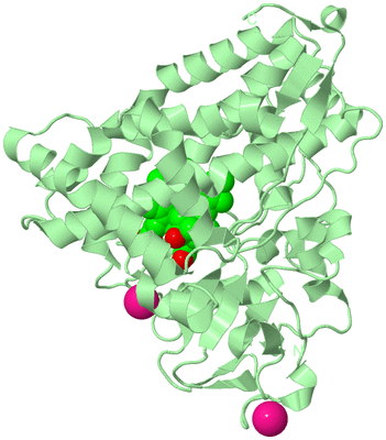 Image Biological Unit 2