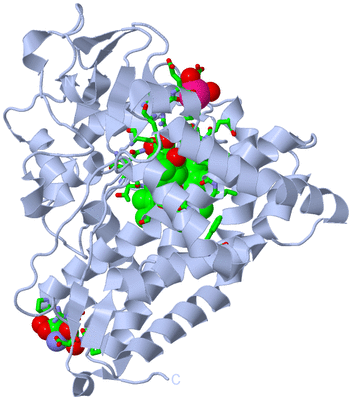 Image Biol. Unit 1 - sites