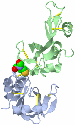 Image Asymmetric Unit