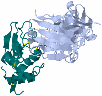 Image Biological Unit 1