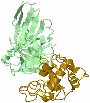 Image Biological Unit 2