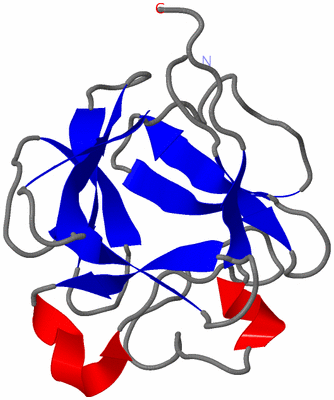 Image NMR Structure - model 1