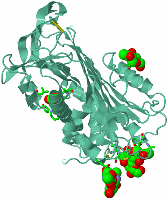 Image Biol. Unit 1 - sites