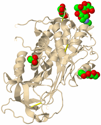 Image Biological Unit 2