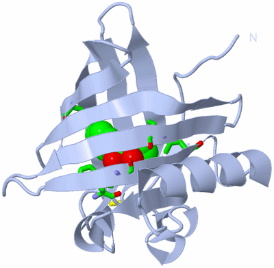 Image Biol. Unit 1 - sites