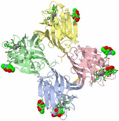 Image Asym./Biol. Unit - sites