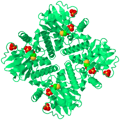 Image Biological Unit 1