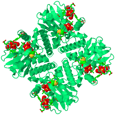 Image Biol. Unit 1 - sites