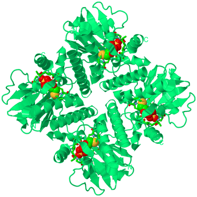 Image Biol. Unit 1 - sites