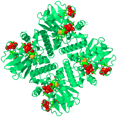 Image Biol. Unit 1 - sites