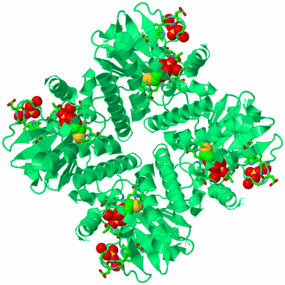 Image Biol. Unit 1 - sites