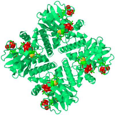 Image Biol. Unit 1 - sites