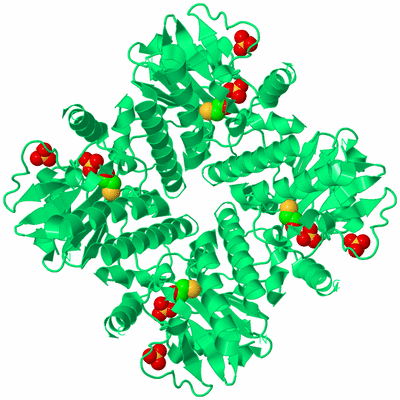 Image Biological Unit 1