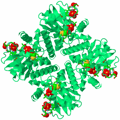 Image Biol. Unit 1 - sites