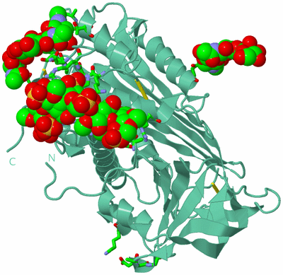 Image Biol. Unit 1 - sites