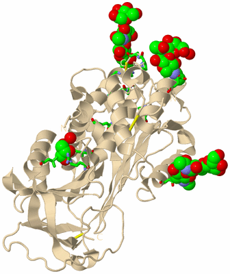 Image Biol. Unit 1 - sites