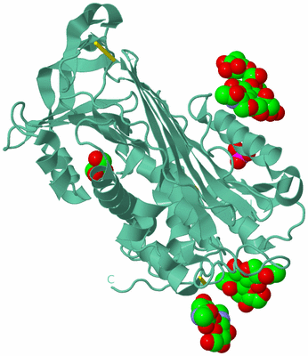 Image Biological Unit 2