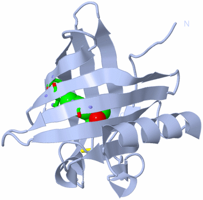 Image Biol. Unit 1 - sites