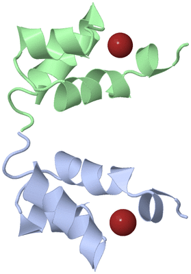Image NMR Structure - model 1