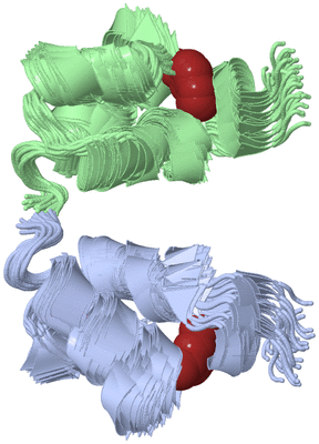 Image NMR Structure - all models