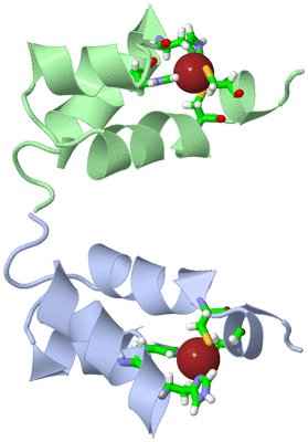 Image NMR Structure - model 1, sites