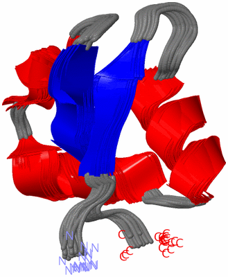 Image NMR Structure - all models