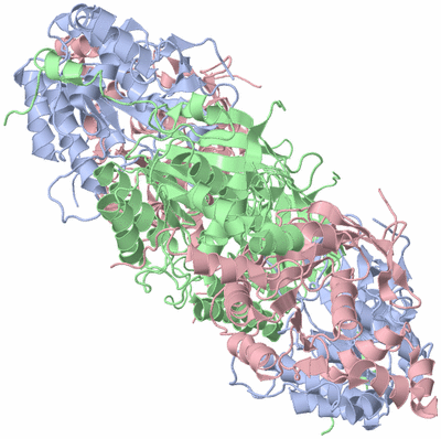 Image Biological Unit 1