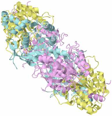 Image Biological Unit 2