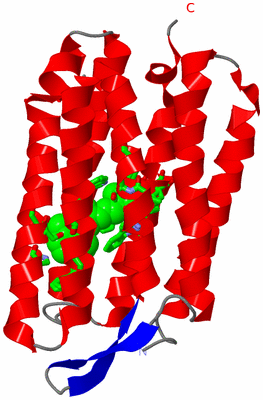 Image Asym. Unit - sites