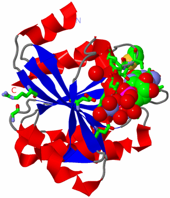 Image Asym./Biol. Unit - sites