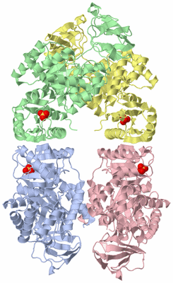 Image Asym./Biol. Unit