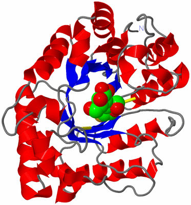 Image Asym./Biol. Unit