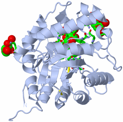 Image Biol. Unit 1 - sites