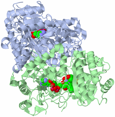 Image Asym./Biol. Unit