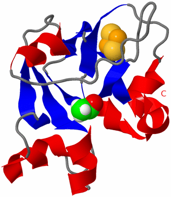 Image NMR Structure - model 1