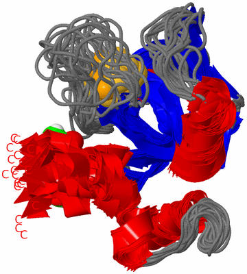 Image NMR Structure - all models