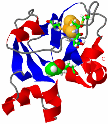 Image NMR Structure - model 1, sites