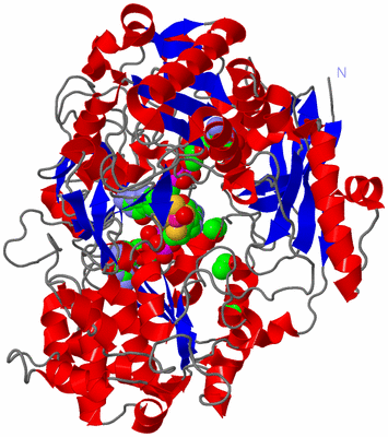 Image Asym./Biol. Unit