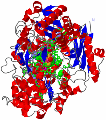 Image Asym./Biol. Unit - sites