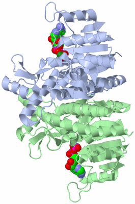 Image Asym./Biol. Unit