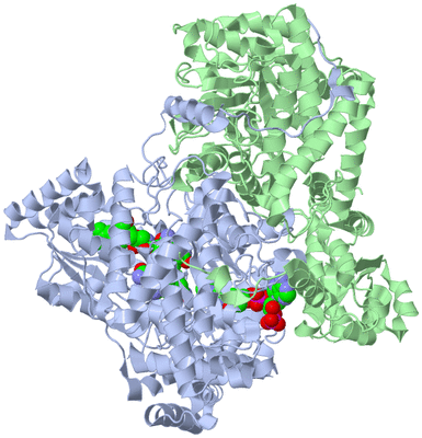 Image Biological Unit 1