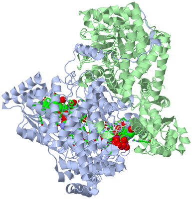 Image Biol. Unit 1 - sites