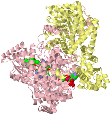 Image Biological Unit 2