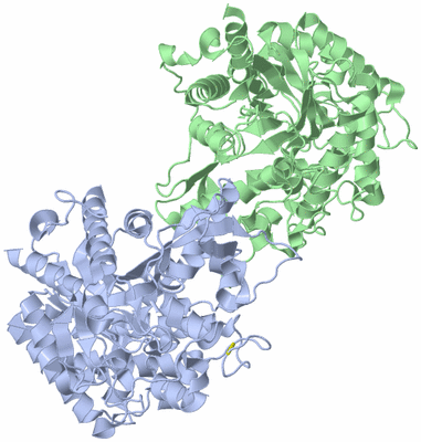 Image Asym./Biol. Unit